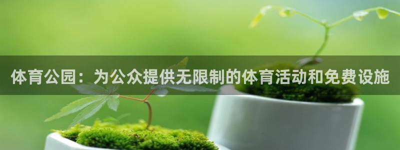 球速体育