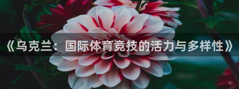 球速体育