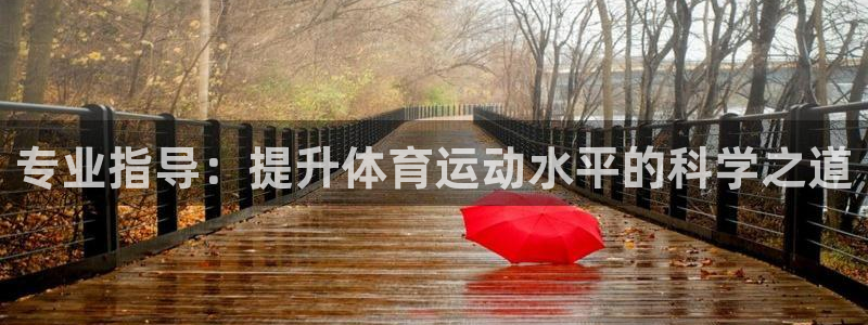 球速体育：专业指导：提升体育运动水平的科学之道