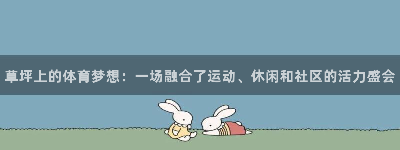 球速体育：草坪上的体育梦想：一场融合了运动、休闲和社区的活力盛会