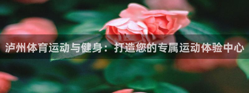 球速体育