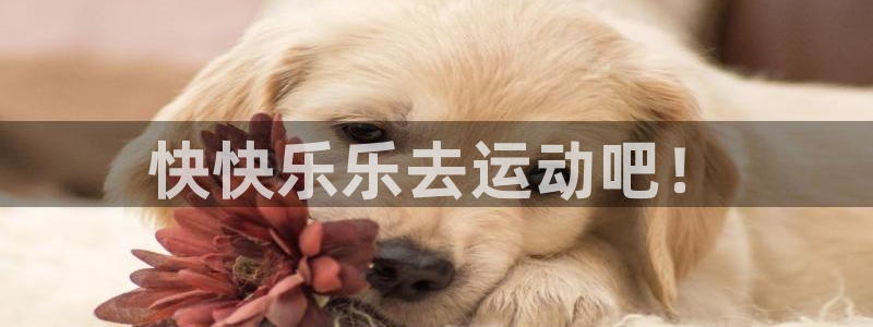 球速体育