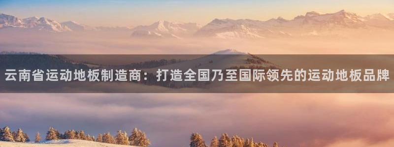 球速体育：云南省运动地板制造商：打造全国乃至国际领先的运动地板品牌