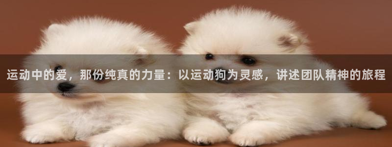 球速体育：运动中的爱，那份纯真的力量：以运动狗为灵感，讲述团队精神的旅程