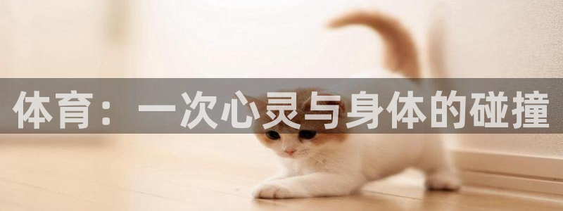 球速体育：体育：一次心灵与身体的碰撞